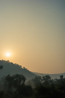 A serene sunrise over the rolling hills of the farm sanctuary, with soft light filtering through ancient woods.
