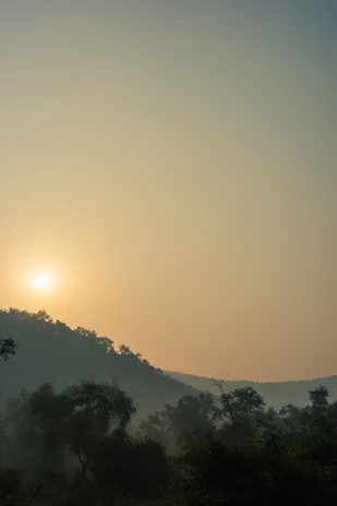 A serene sunrise over the rolling hills of the farm sanctuary, with soft light filtering through ancient woods.