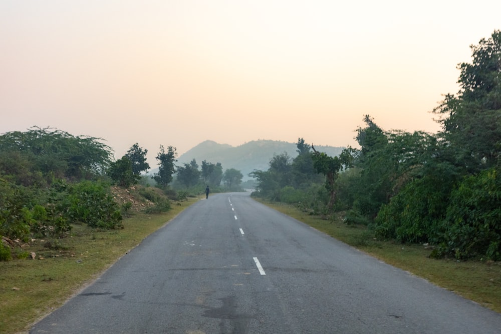 an empty road surrounded by trees and bushes