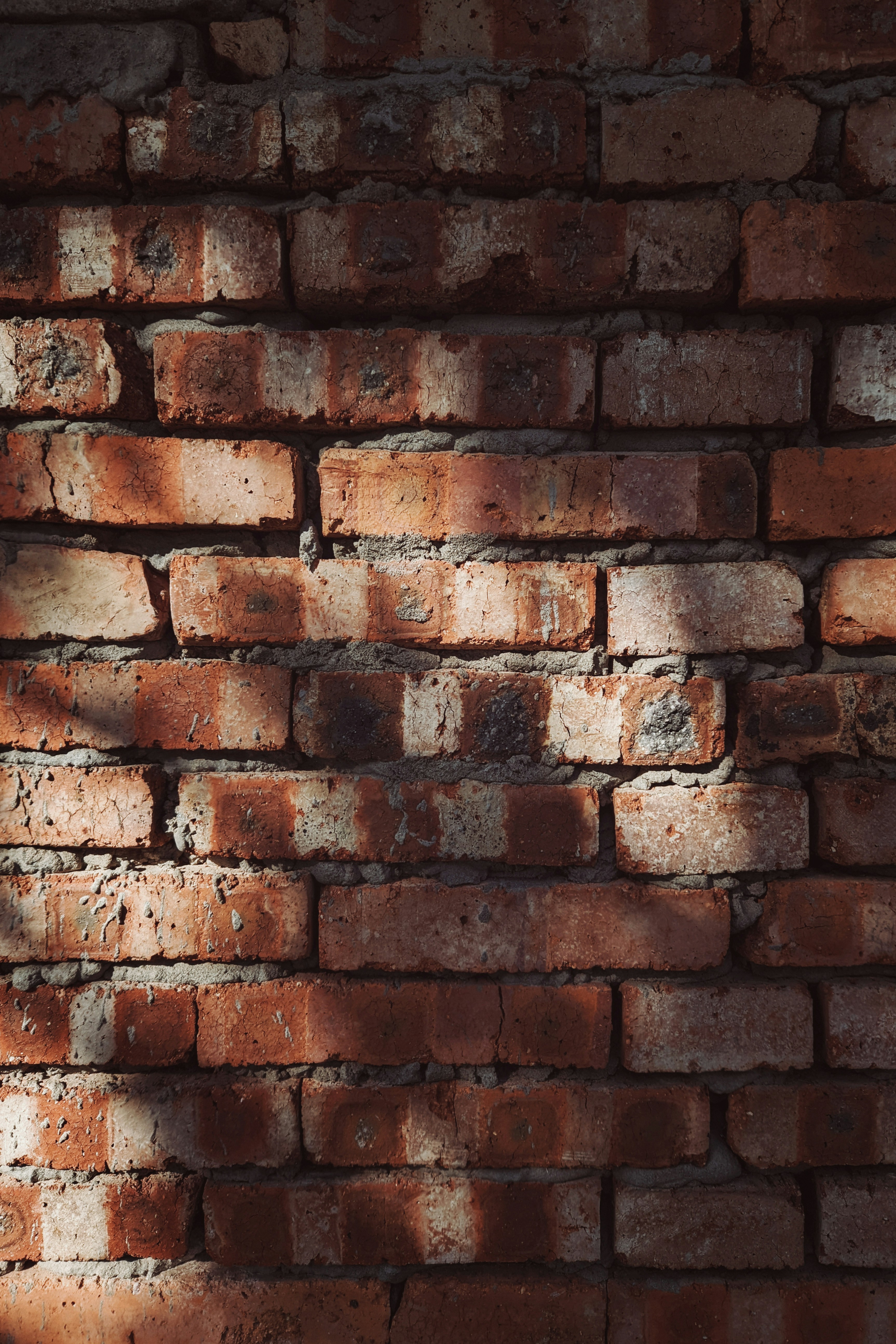 Photo by guheihei2333