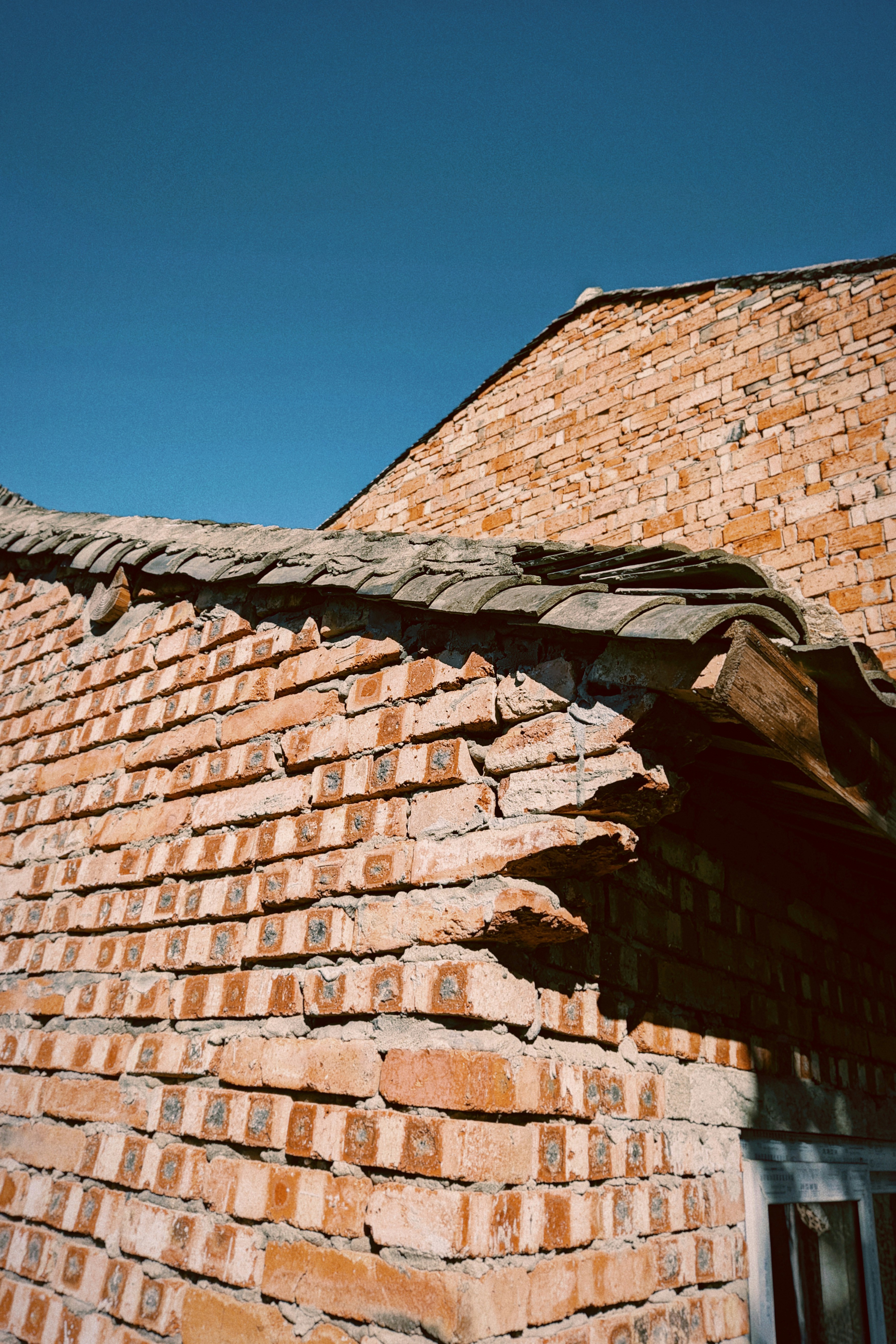 Photo by guheihei2333