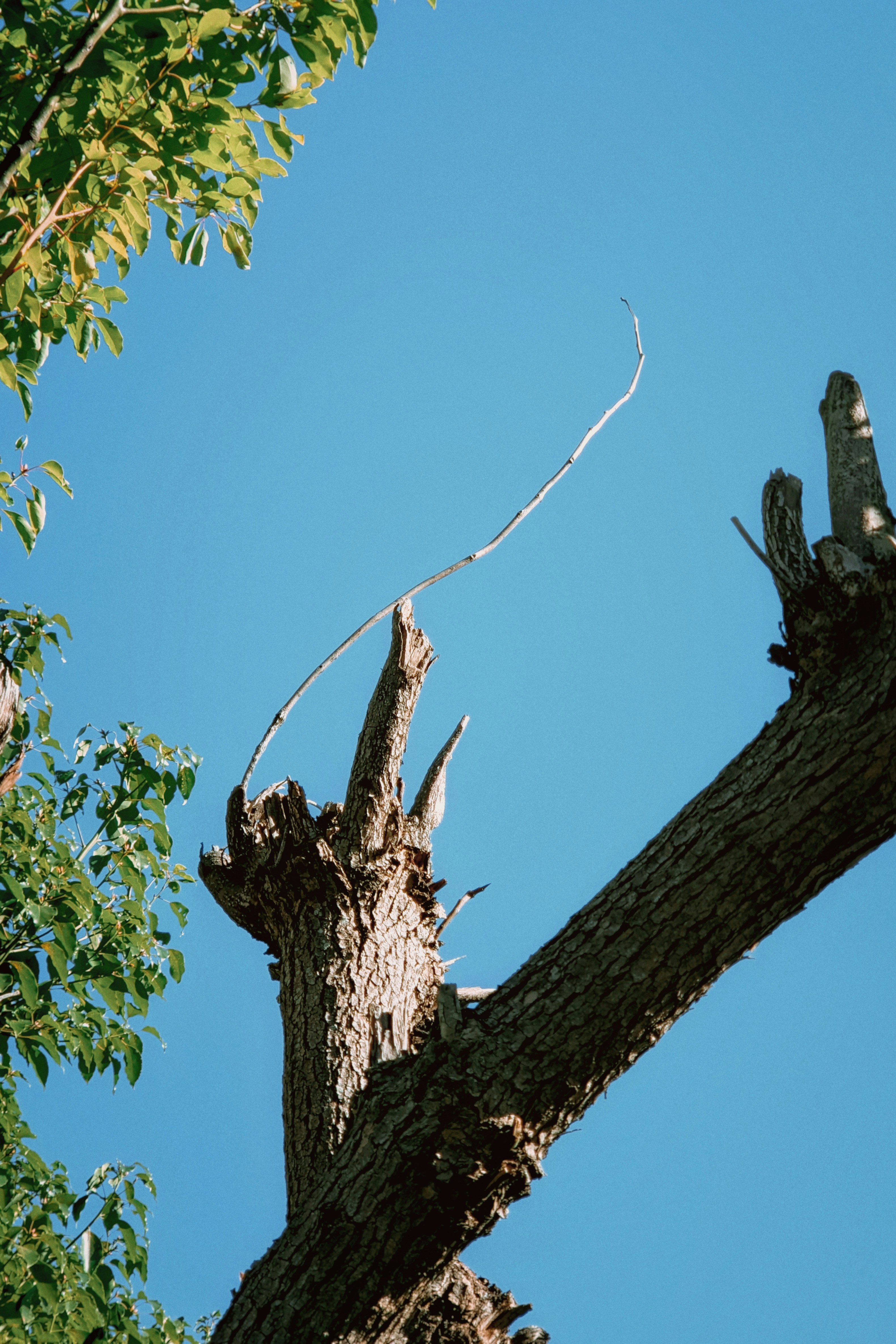 Photo by guheihei2333