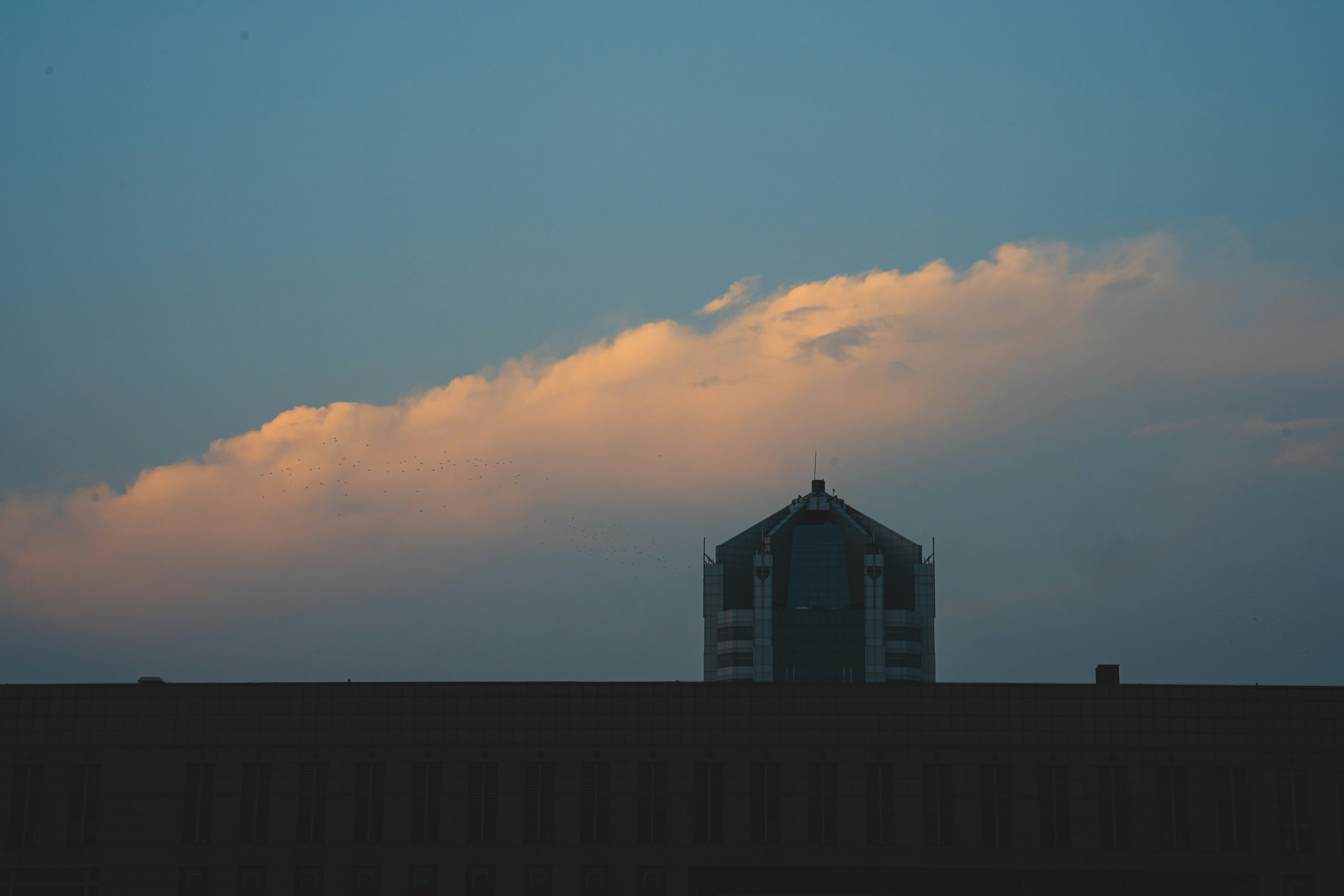 Photo by shotbyjf