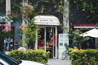 A quaint vintage store entrance is nestled between lush greenery and vines. The shop has a charming sign above the door and displays various items inside. A bicycle is partially visible outside, and there are small decorative plants and a white patio umbrella nearby.