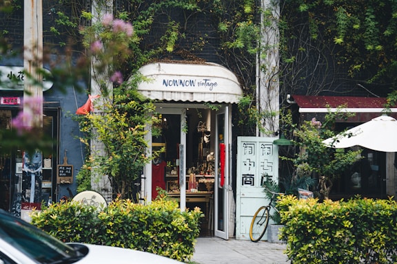 A quaint vintage store entrance is nestled between lush greenery and vines. The shop has a charming sign above the door and displays various items inside. A bicycle is partially visible outside, and there are small decorative plants and a white patio umbrella nearby.