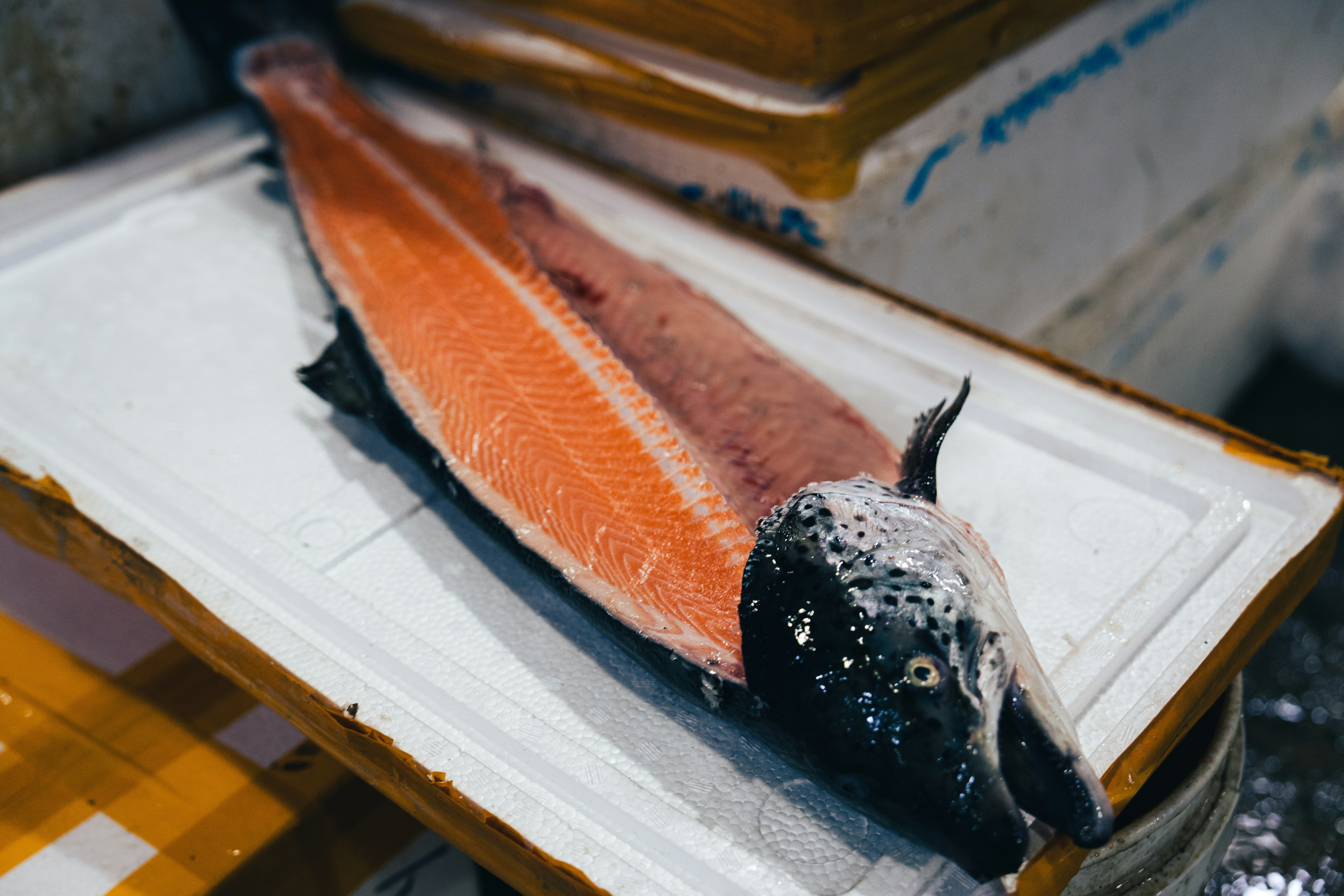 The Counterfeit Catch: A Practical Guide to Identifying Mislabeled Salmon Before It Reaches Your Fork