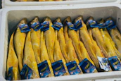 a bunch of yellow fish wrapped in plastic