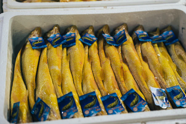 a bunch of yellow fish wrapped in plastic