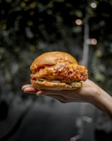 A hand holding a well-crafted chicken sandwich with a crispy fried chicken patty, topped with golden melted cheese and sandwiched between a glossy bun. The sandwich also contains pickles and a creamy sauce, creating an appetizing presentation. The background is a blurred natural setting with green foliage.