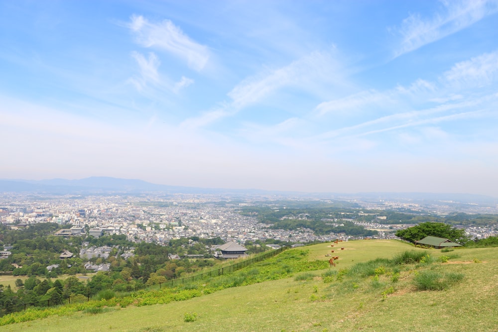 a view of a city from the top of a hill