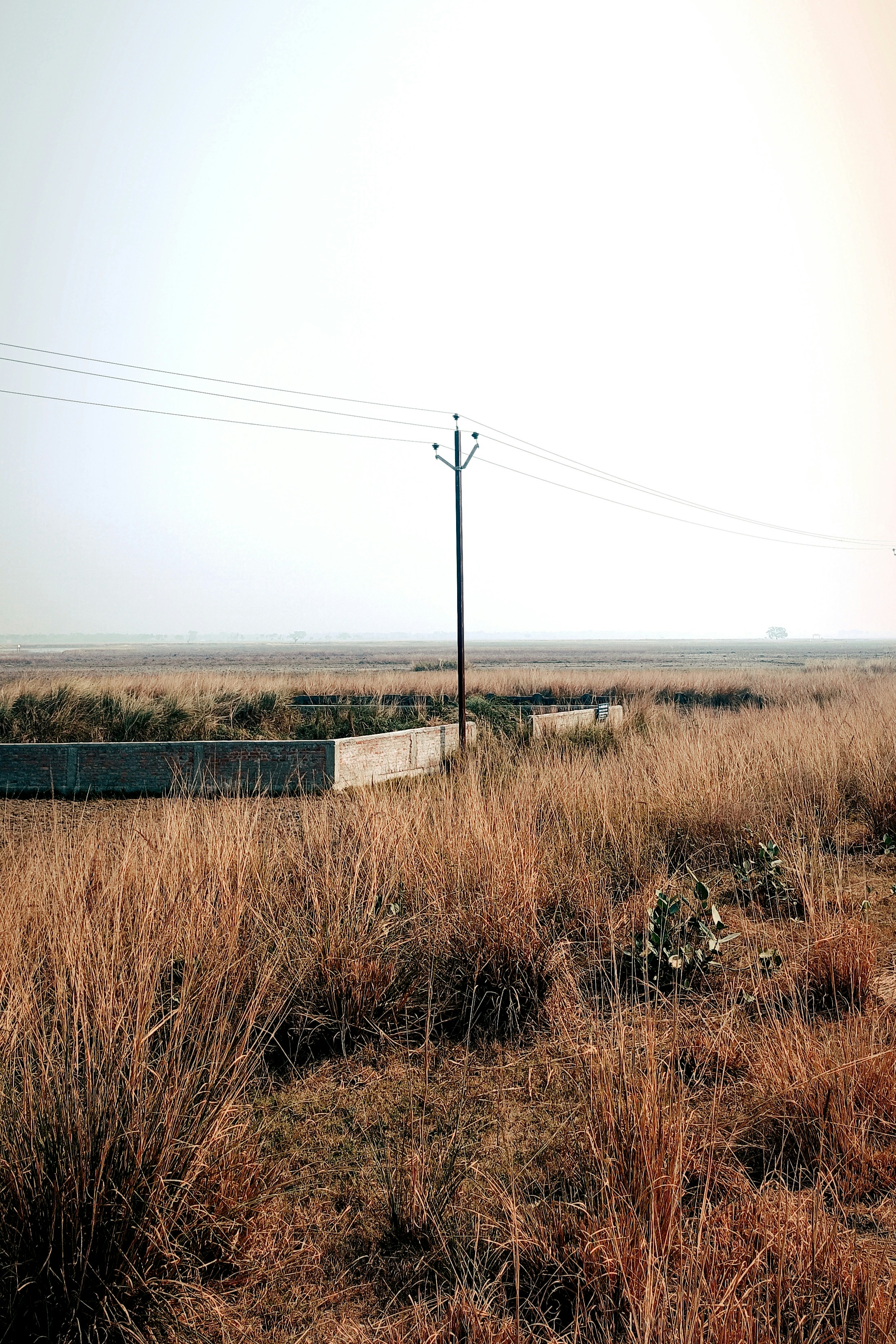 Photo by sumitshah00