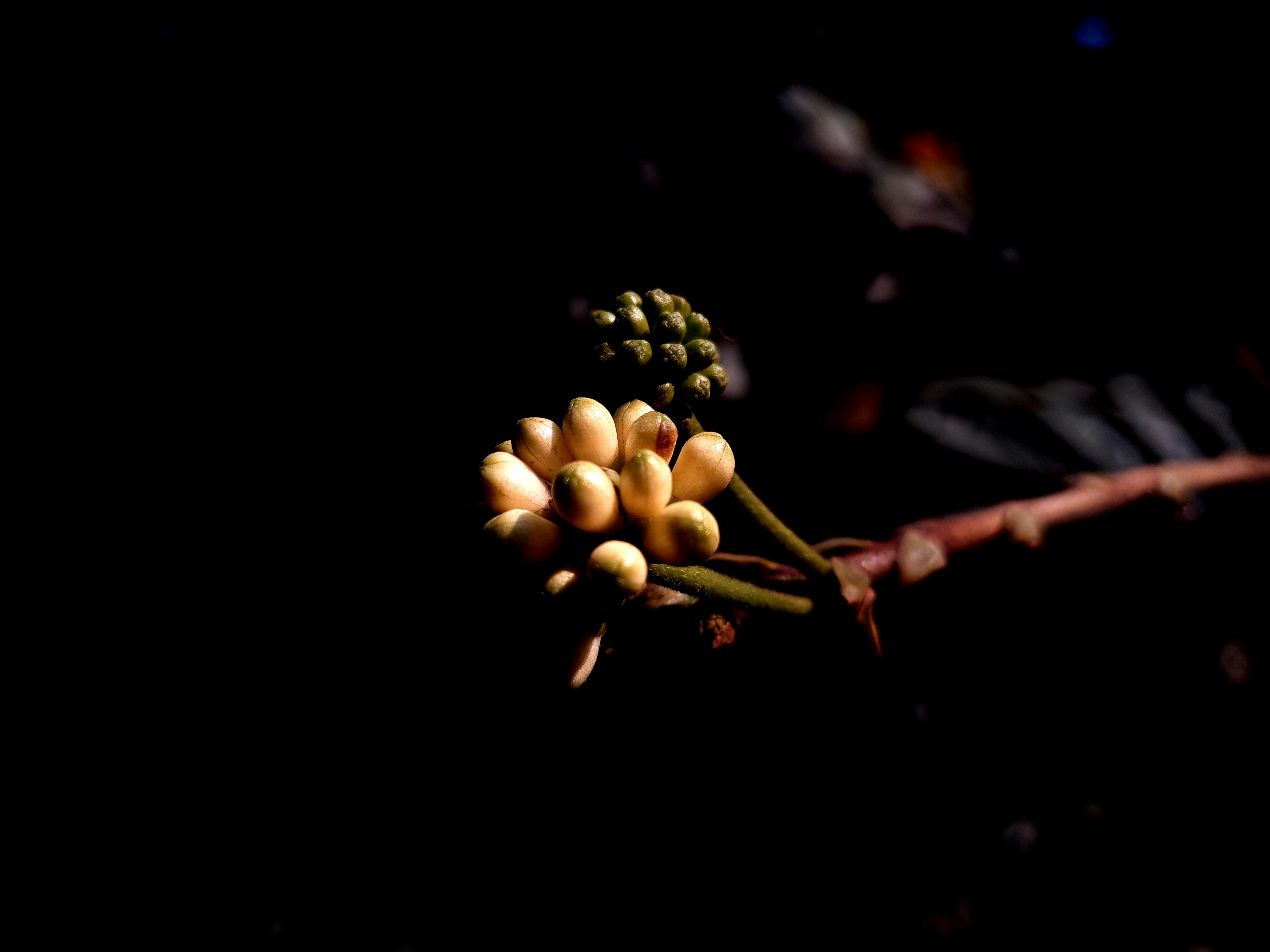 abstract scenery wallpaper 4k, wallpaper, Digital Marketing Strategy: A Comprehensive Guide 4