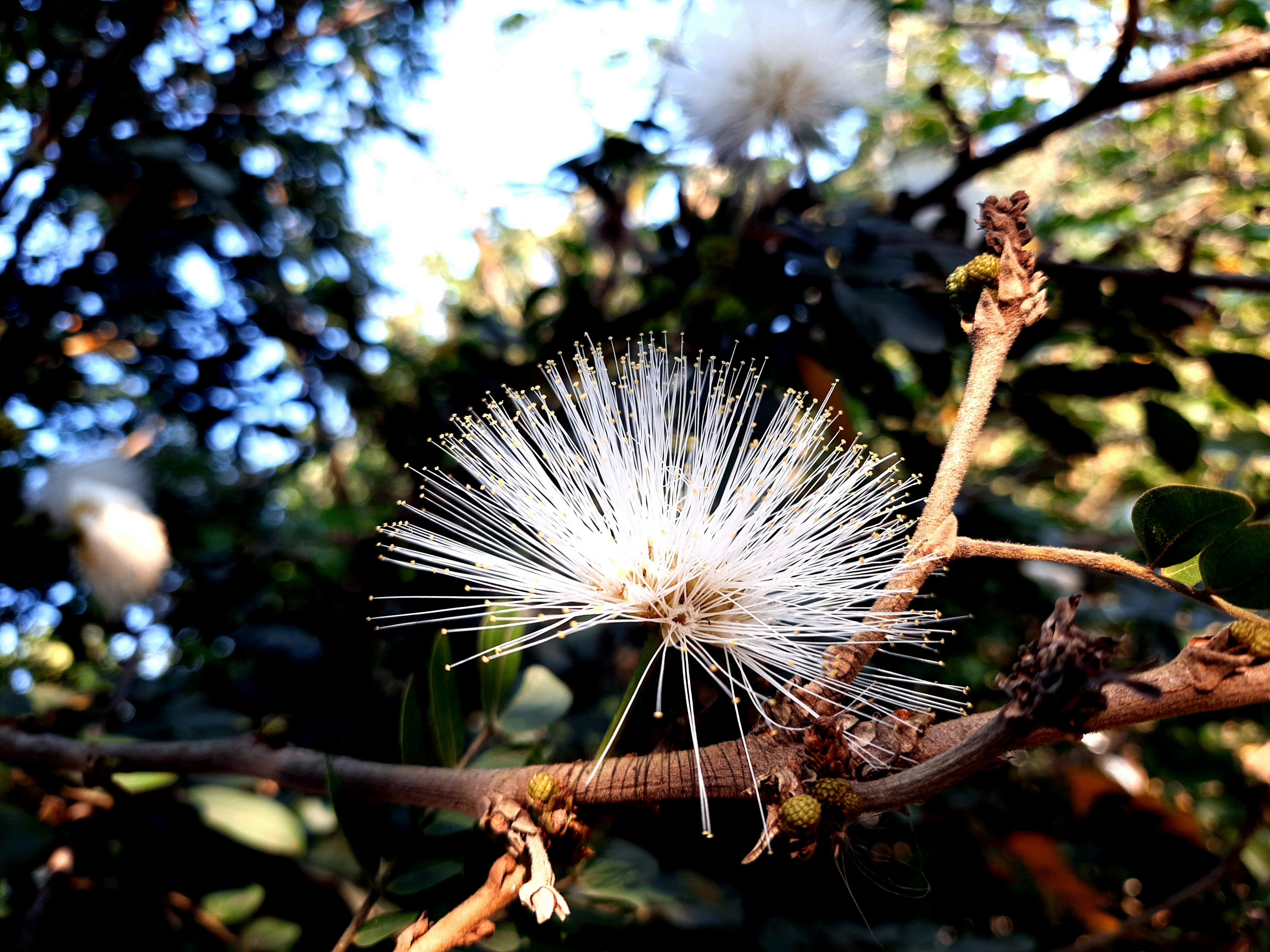 abstract scenery wallpaper 4k, wallpaper, Digital Marketing Strategy: A Comprehensive Guide 6