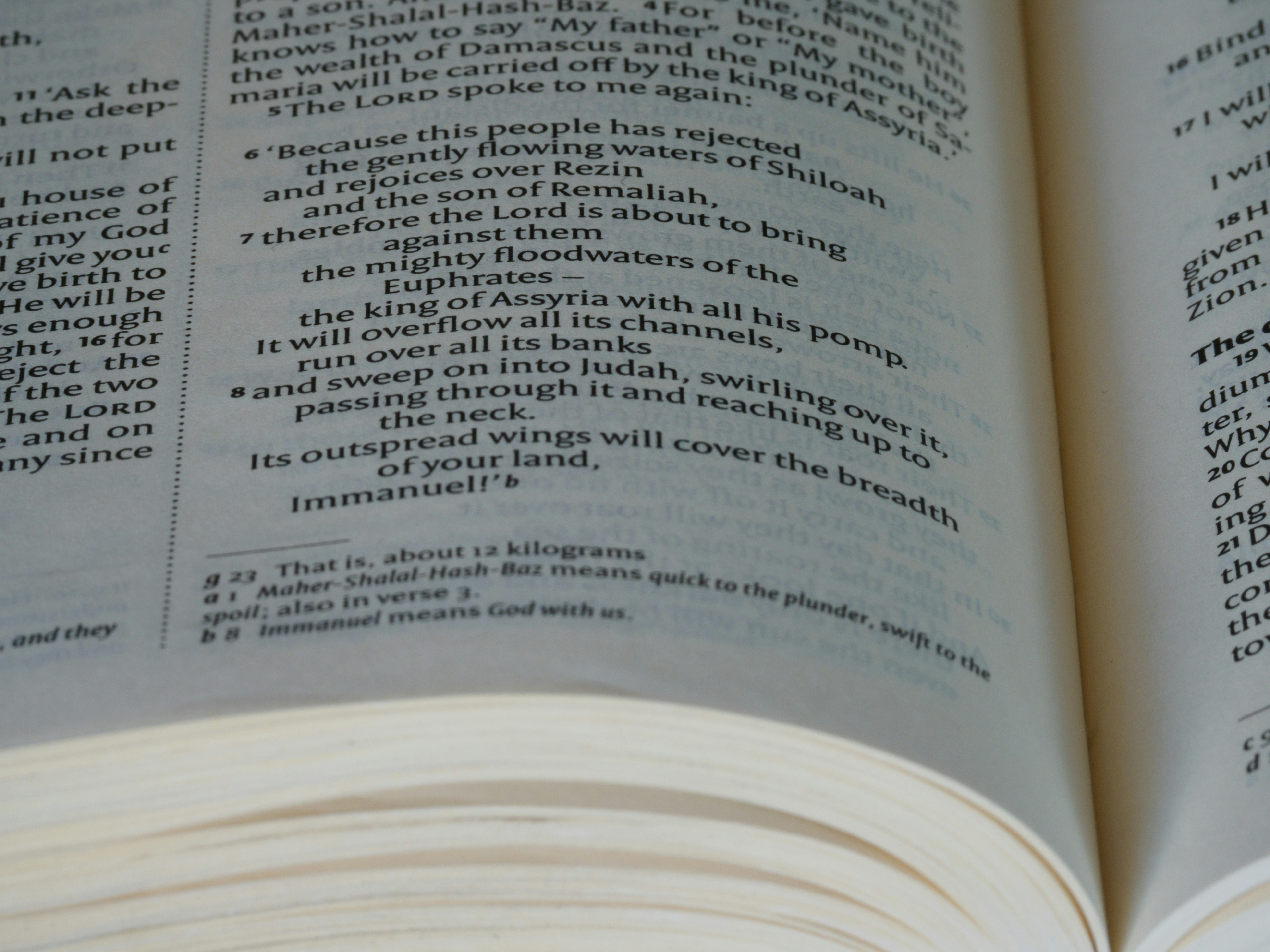 Photo by brett_jordan