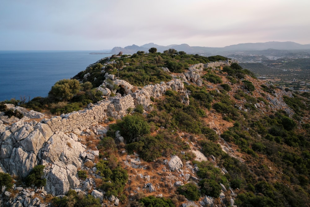 a rocky hill with trees and bushes on top of it