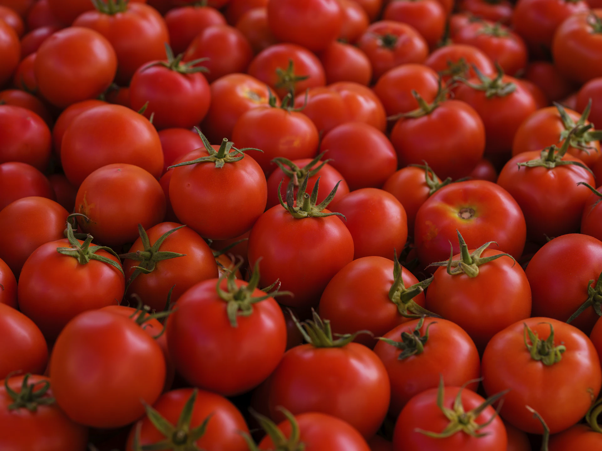 a large pile of red tomatoes sitting on top of each other