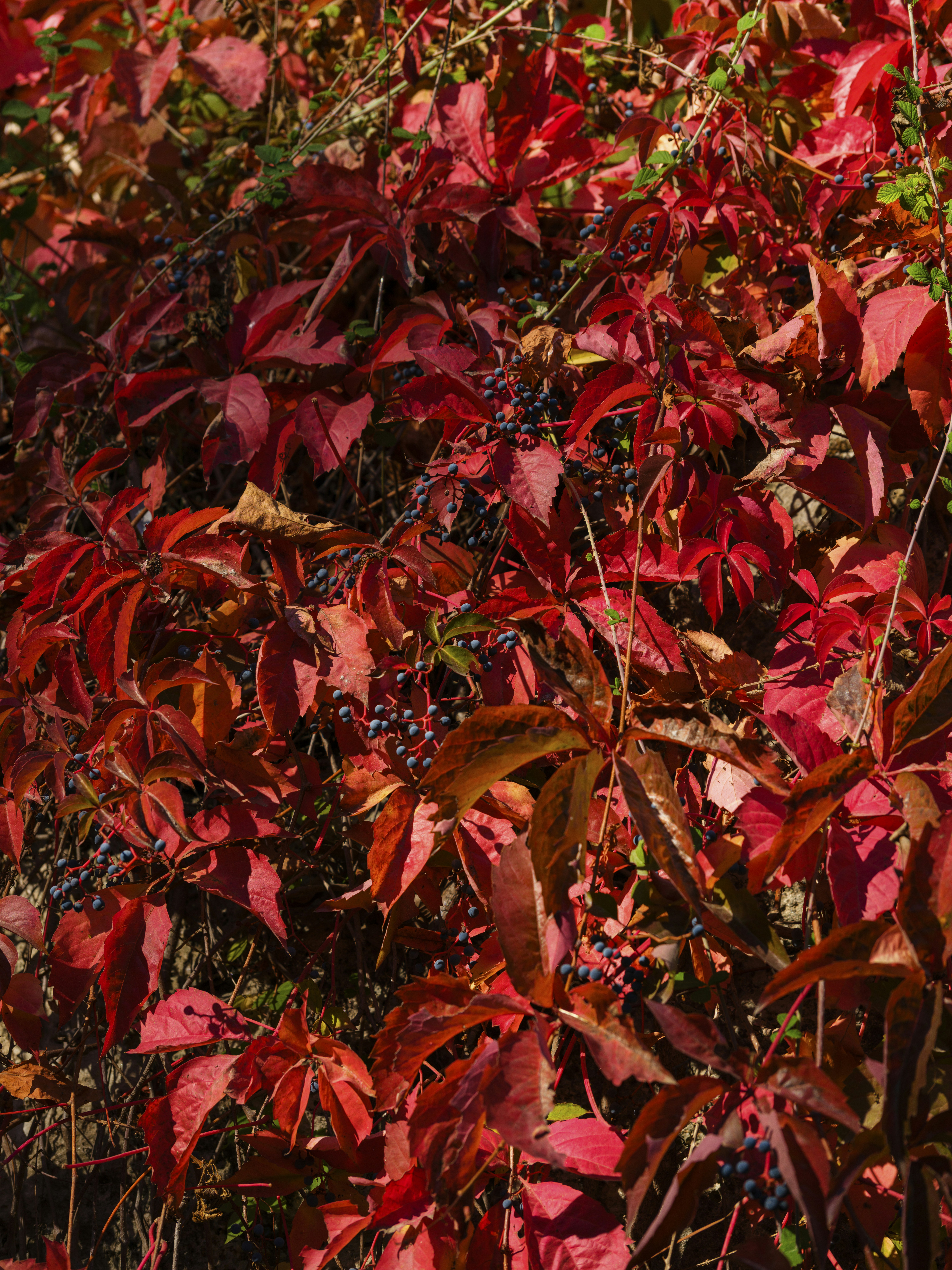 Photo by enginakyurt