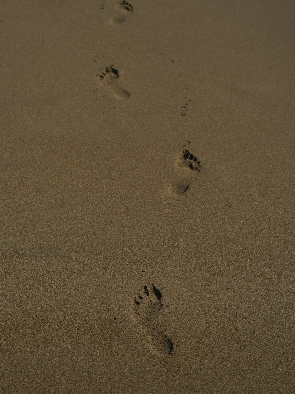 a couple of footprints that are in the sand