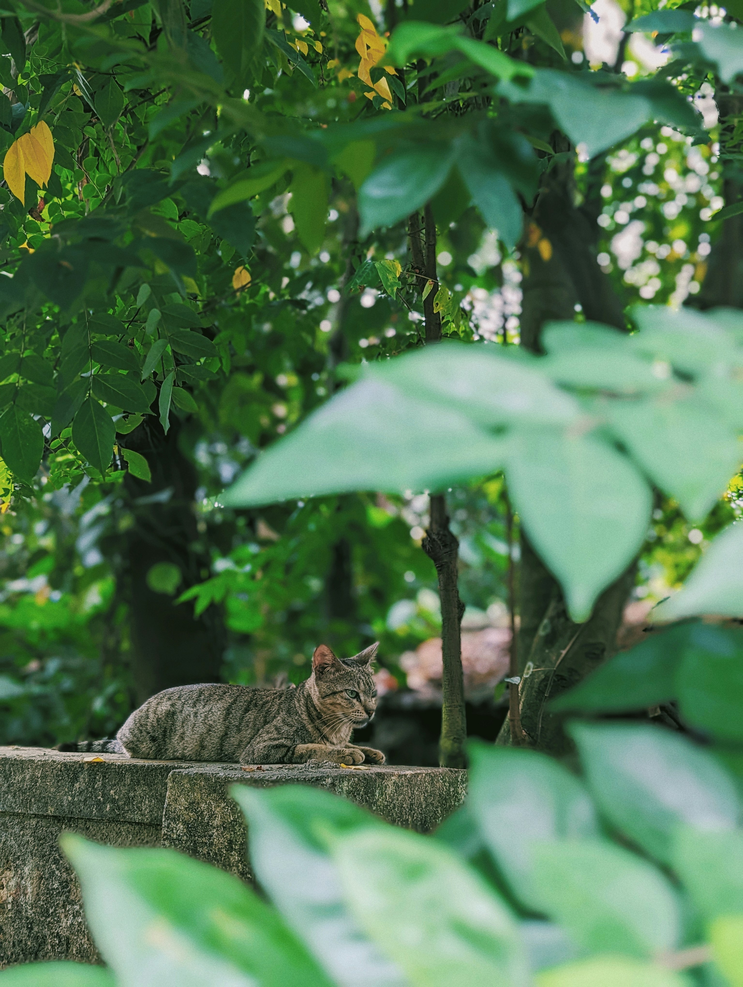 Photo by sahalpattanayil