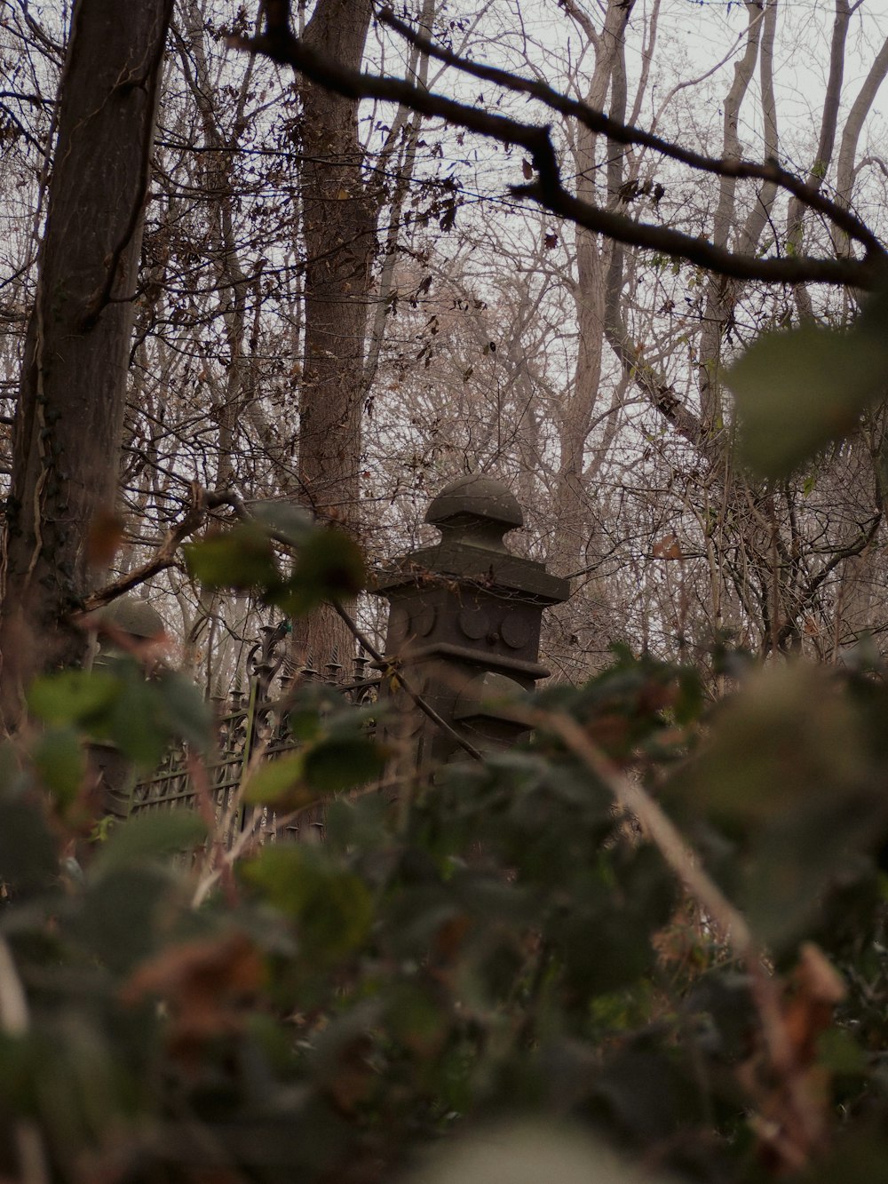 Un cementerio en medio de un bosque