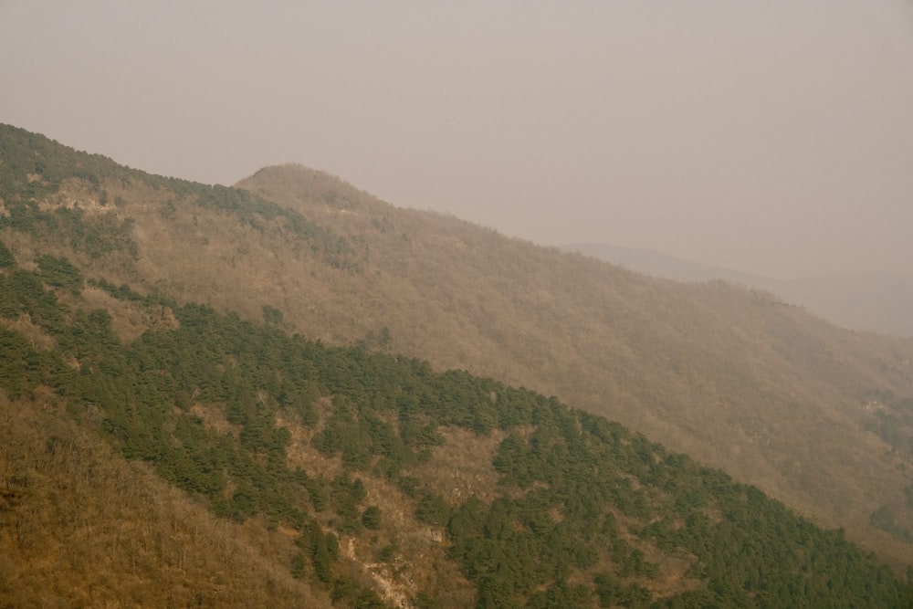 a view of the top of a mountain in the fog