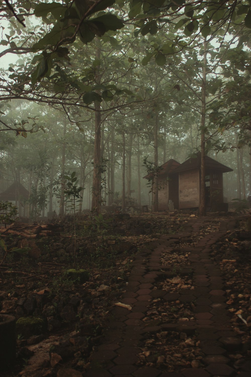 a small cabin in the middle of a forest