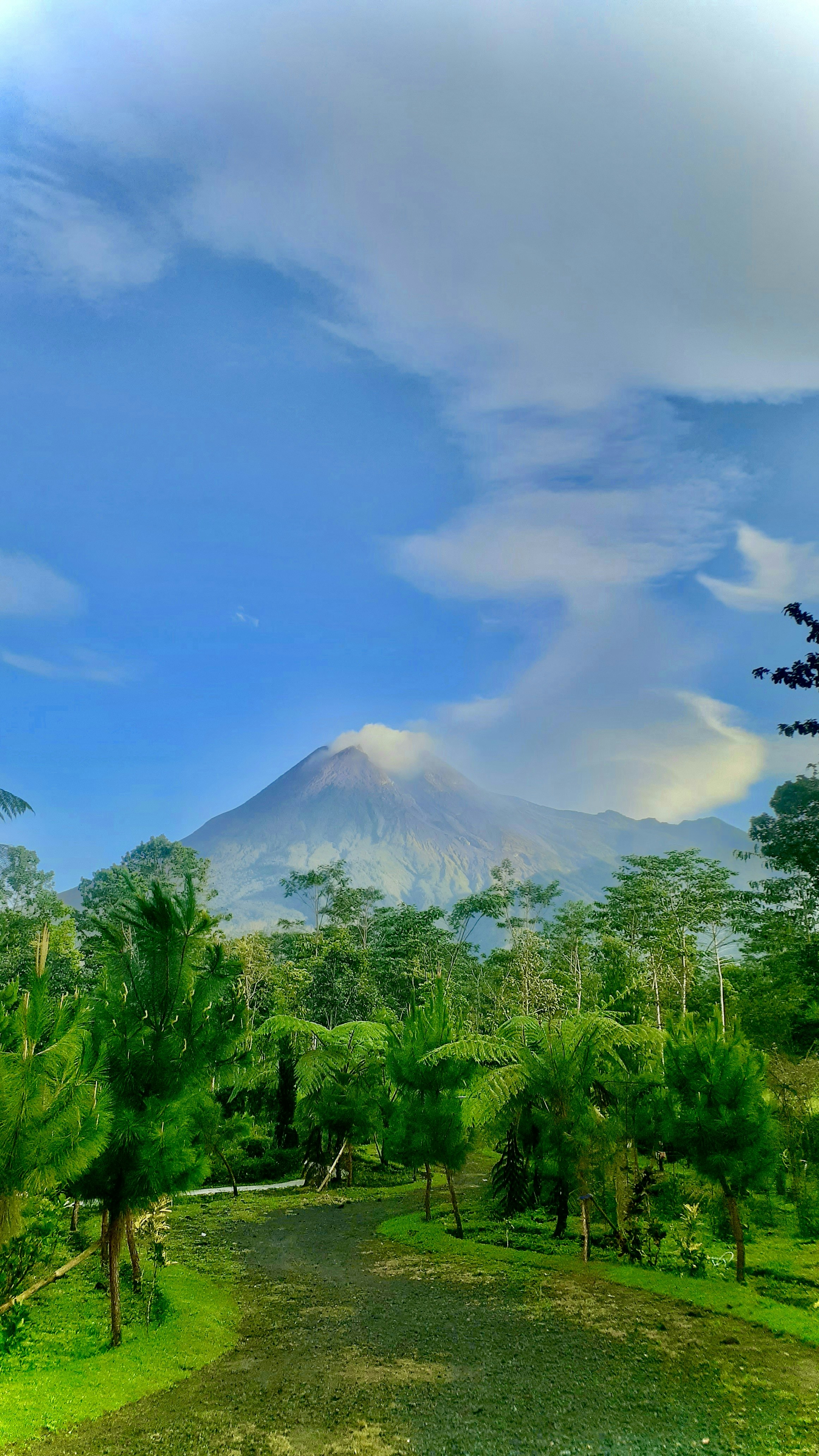 Lapangan hijau dengan pepohonan dan gunung di latar belakang