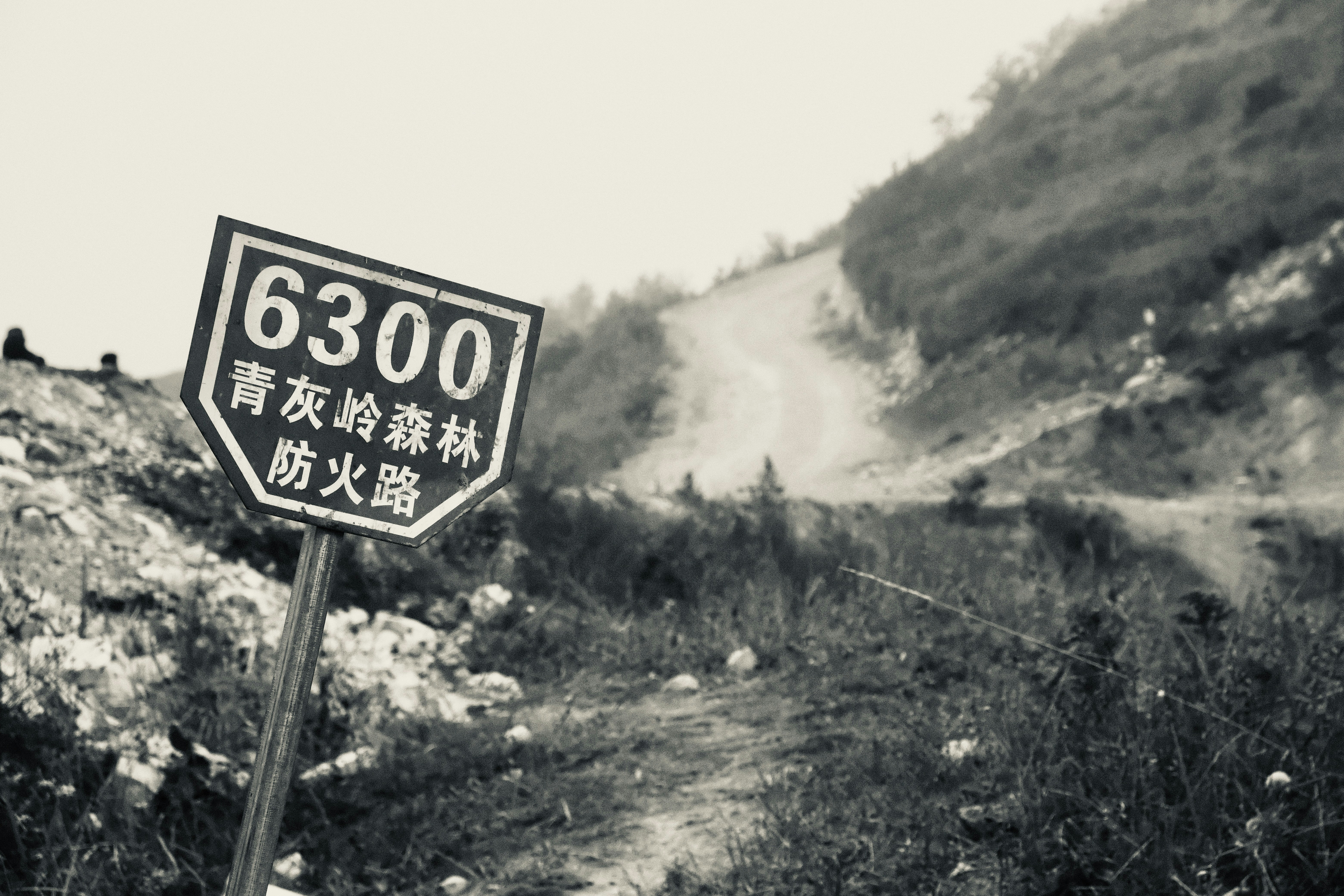 a black and white photo of a sign on a dirt road