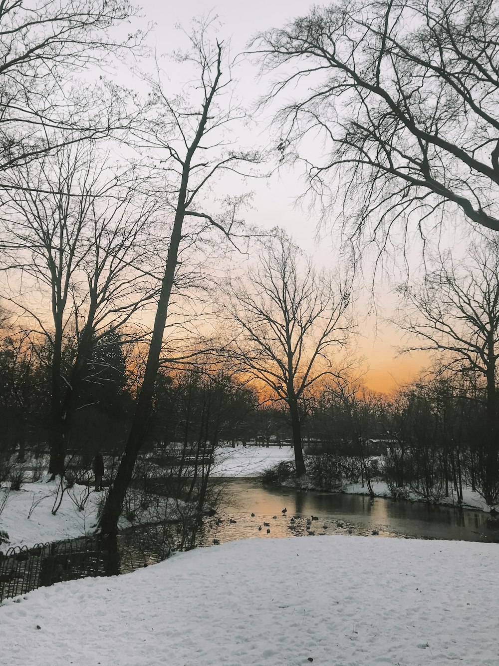 a snowy landscape with trees and a river