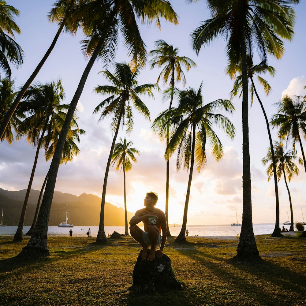 a man sitting on a rock in front of palm trees
