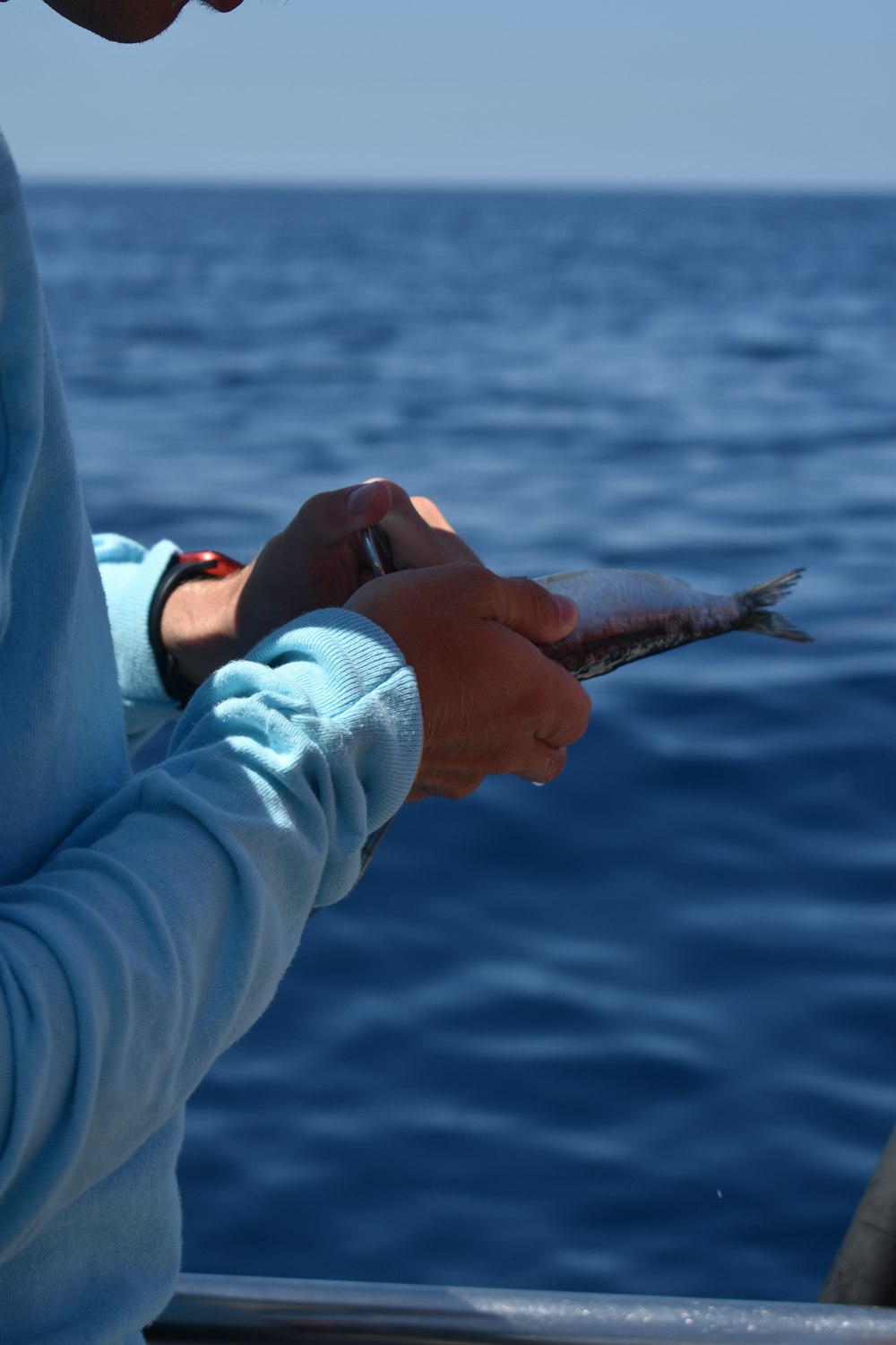 a person holding a fish on a boat