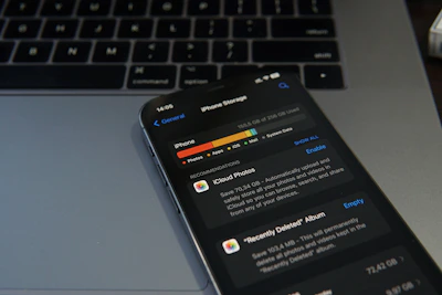 Resource management tools displaying cloud storage usage and project assets.