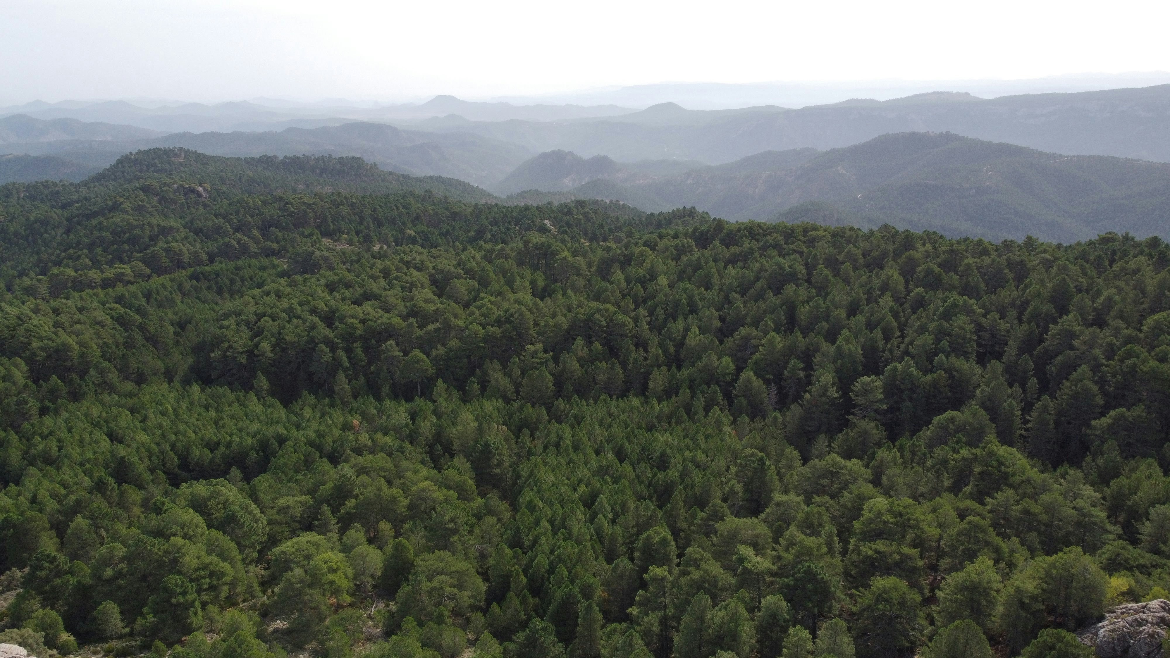 Photo by paudevalencia