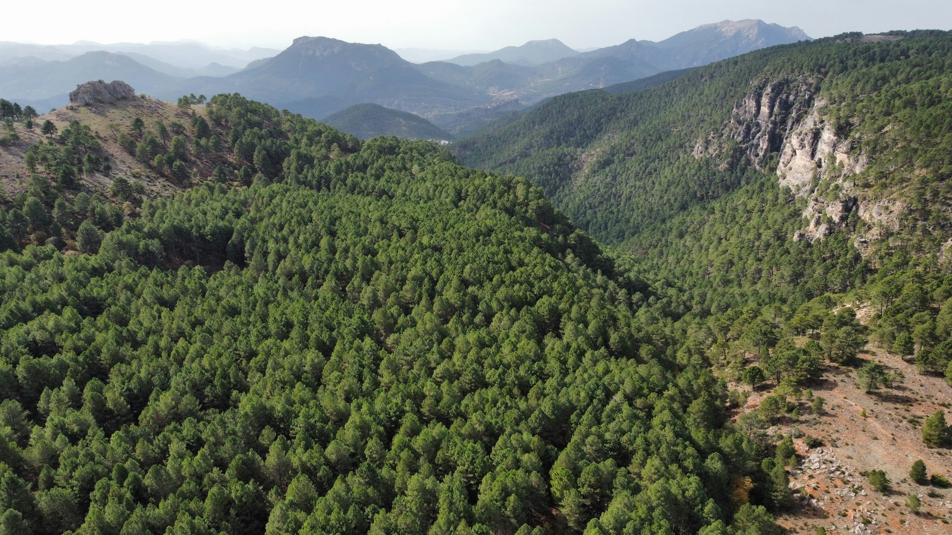 Photo by paudevalencia