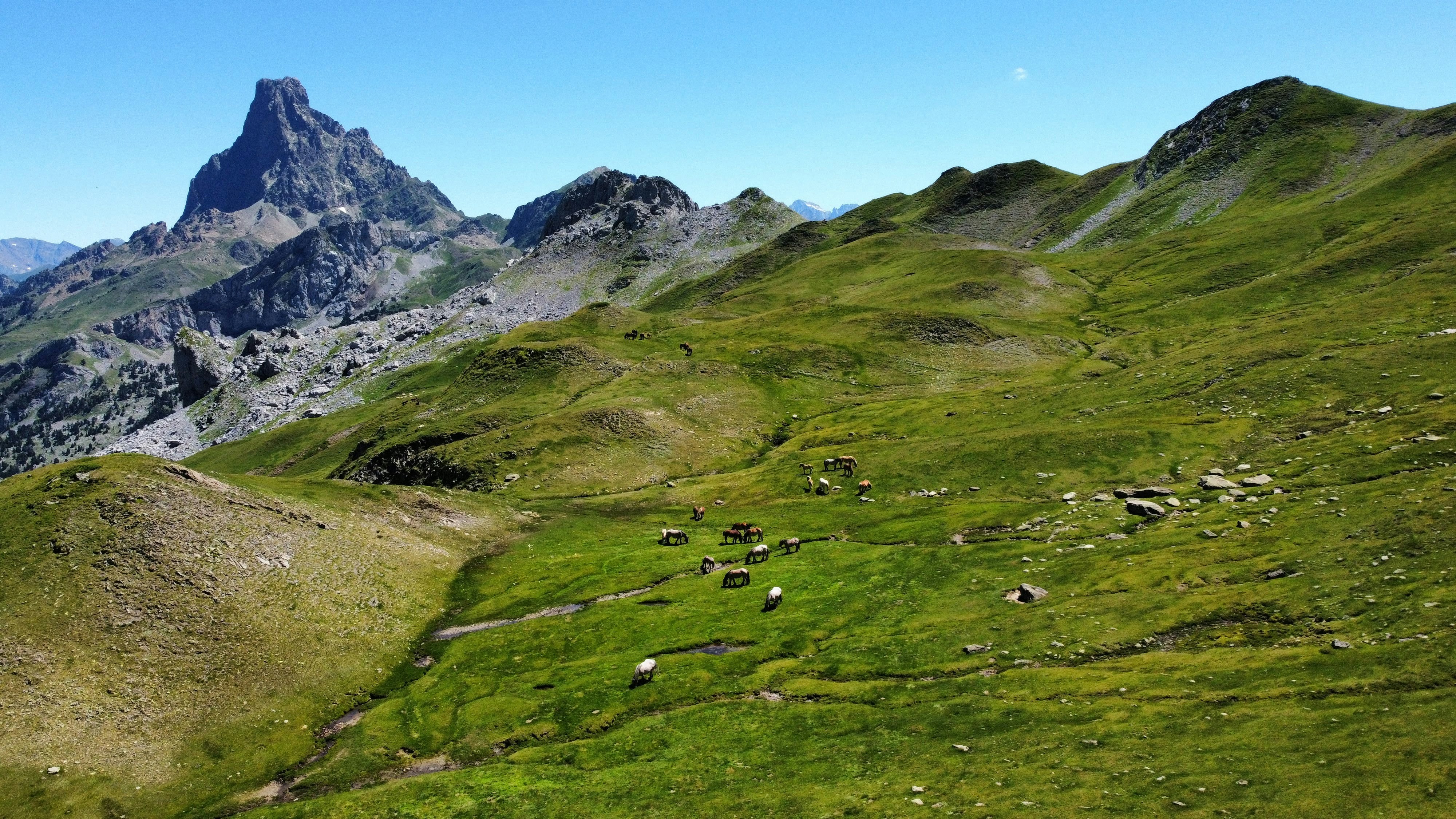 Photo by paudevalencia