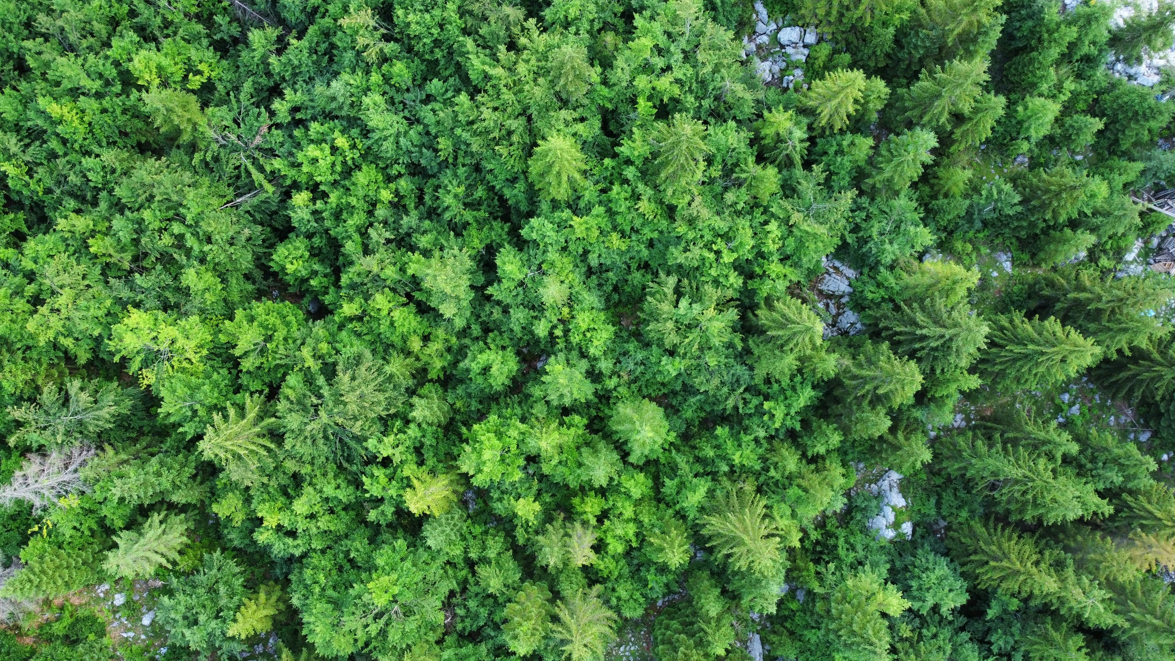 Photo by paudevalencia