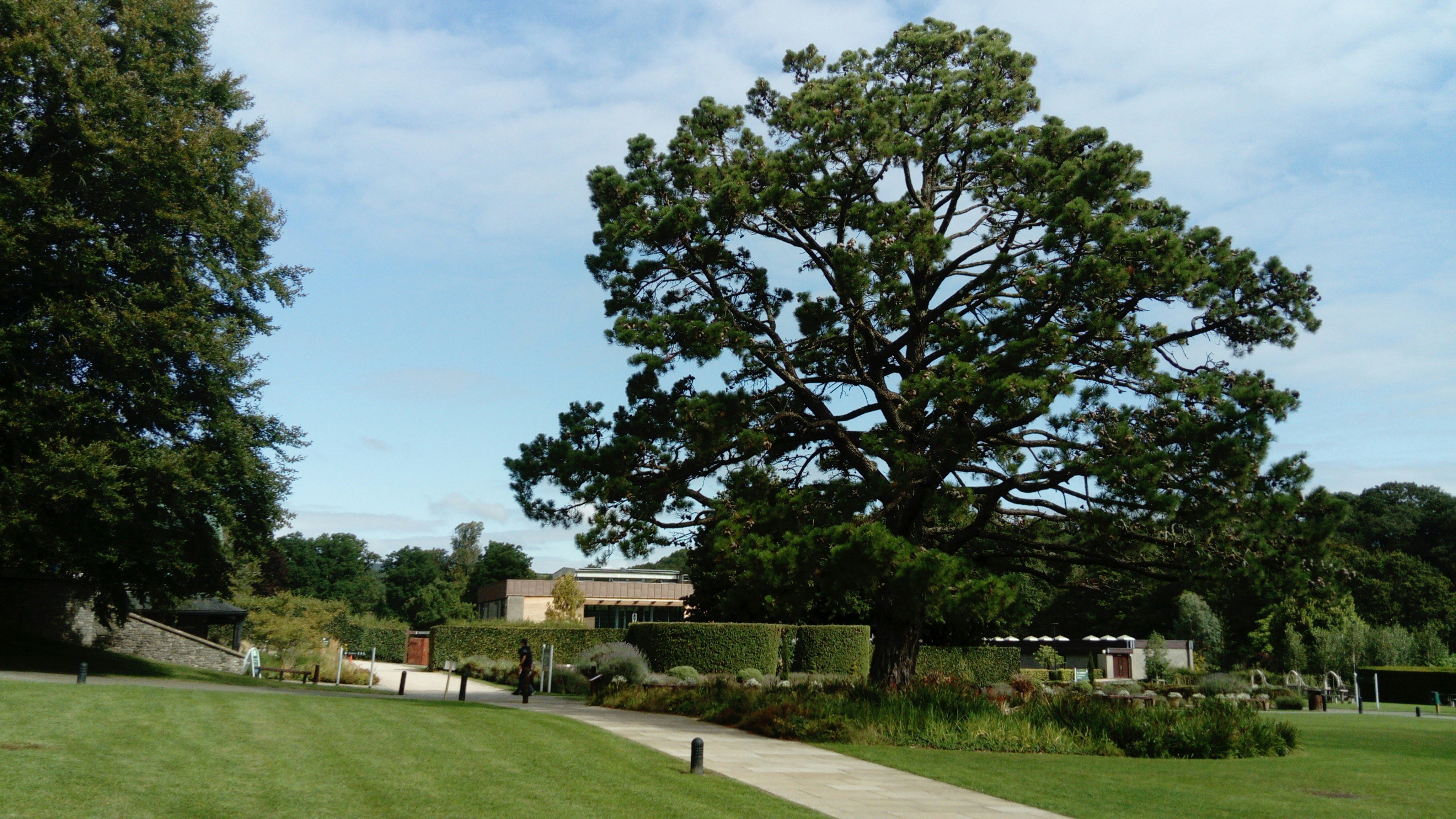 Photo by mgketteridge