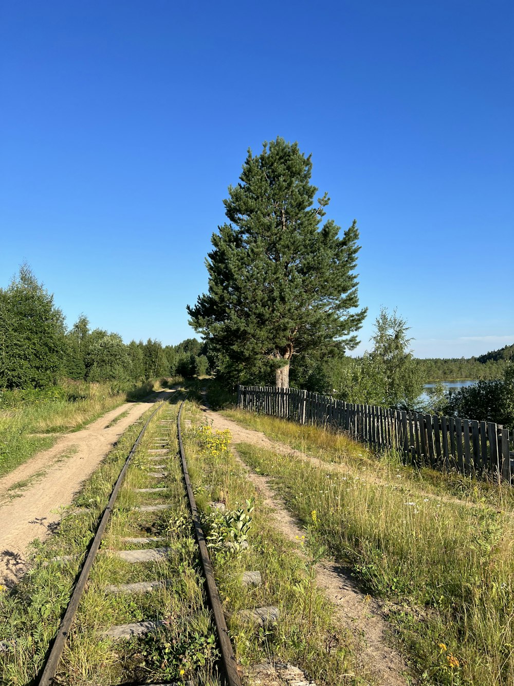 a train track with a lone tree in the distance