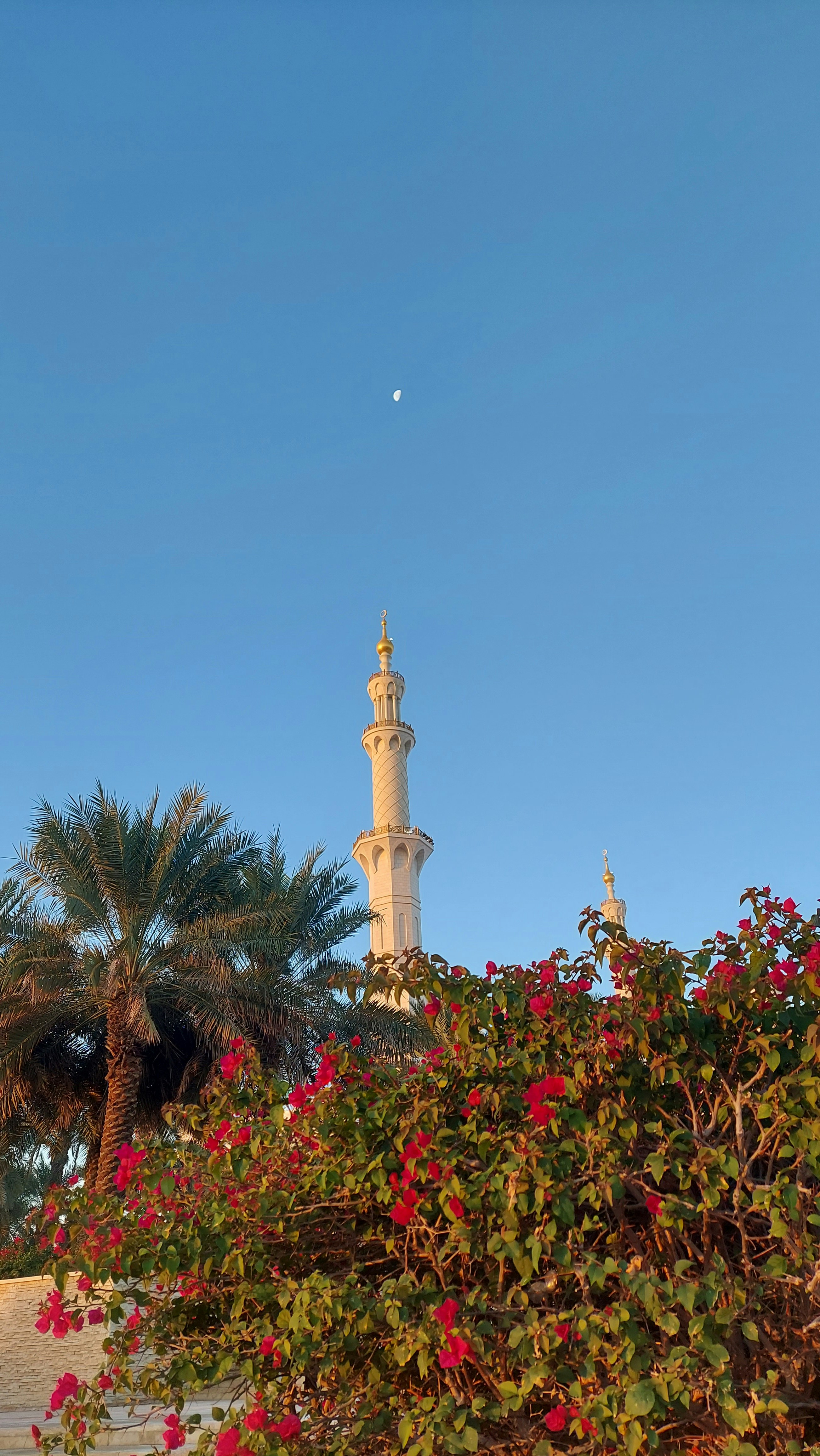 Photo by mjkarki2012