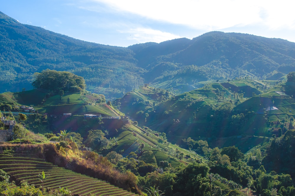 a scenic view of a valley with mountains in the background