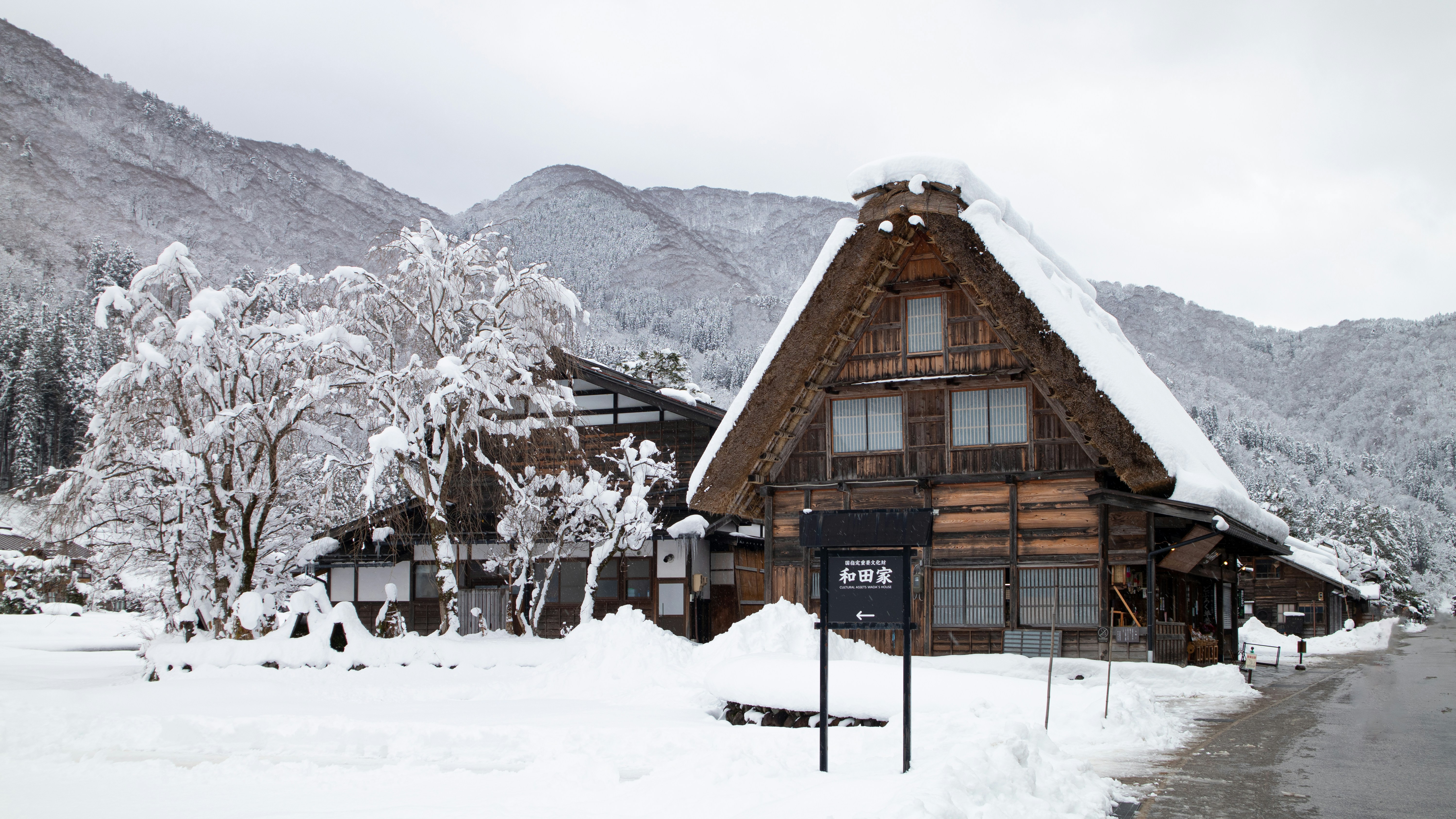Snowshoeing & Winter Hiking Japan: Gear, Trails & Safety Guide