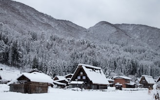 Snow-covered pine trees and cozy wooden cottages in Gulmarg during winter.