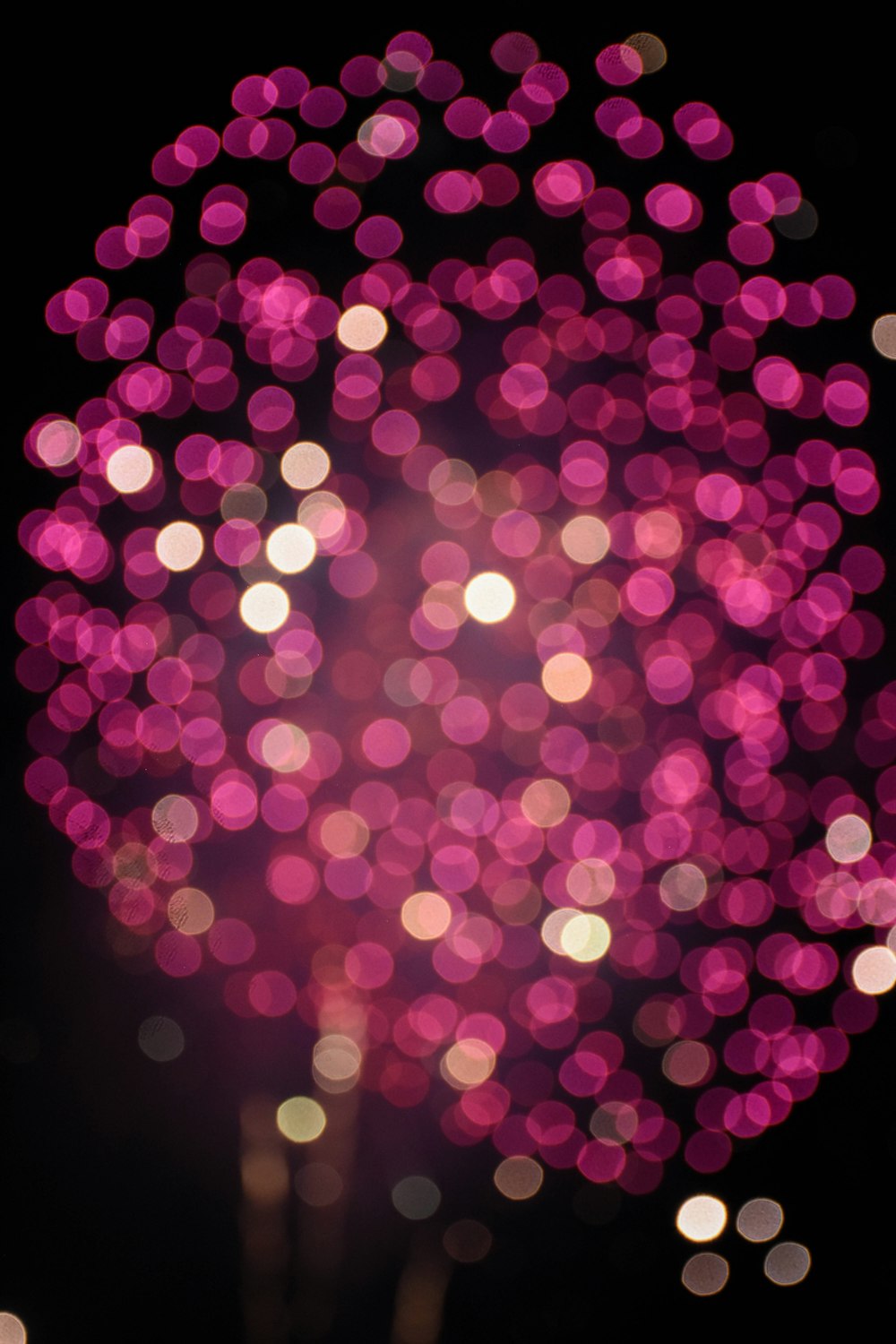 a pink fireworks is lit up in the night sky