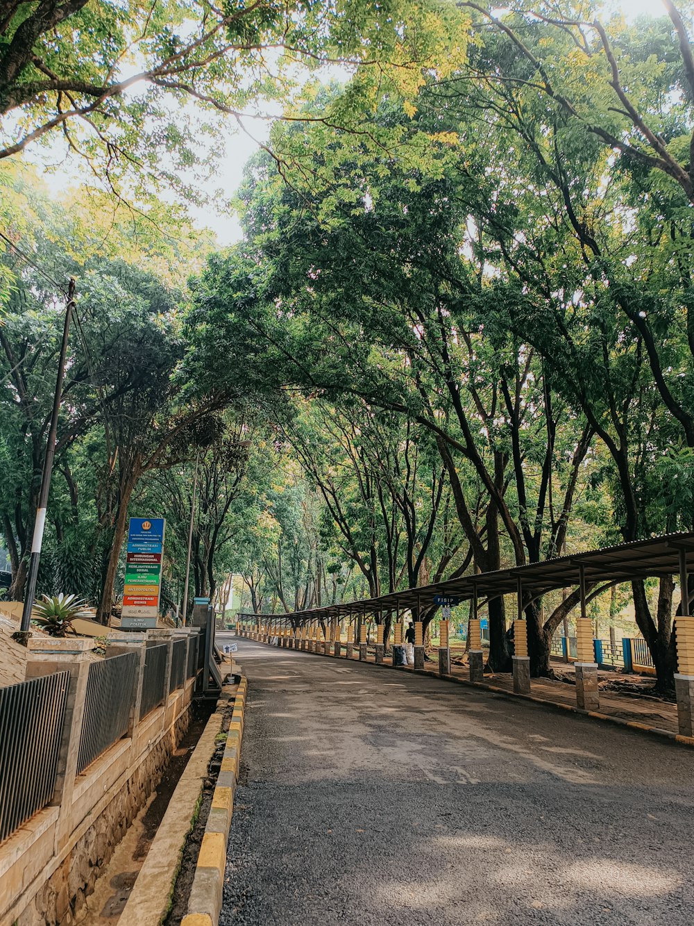 a road with trees lining both sides of it