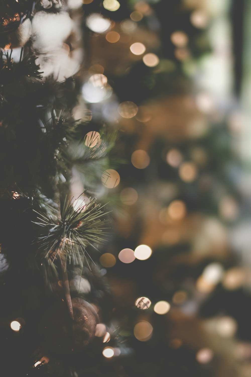 a close up of a christmas tree with a blurry background