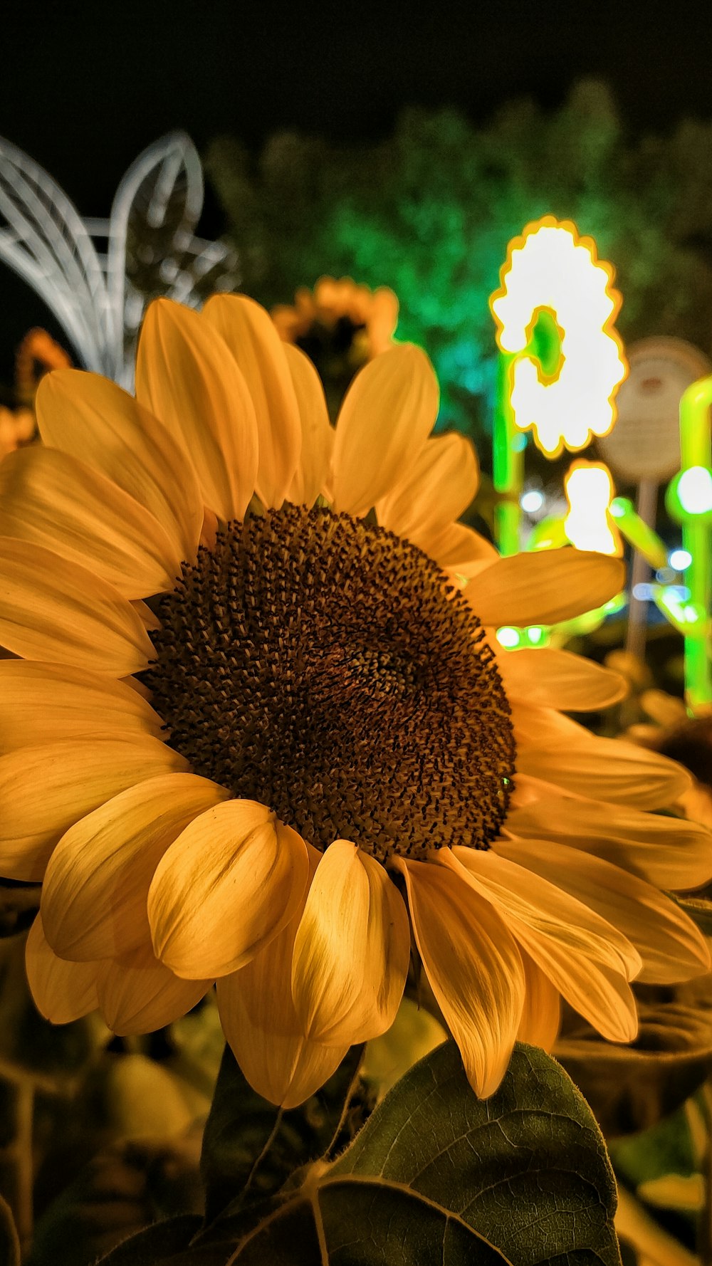 a large sunflower in front of a carnival ride