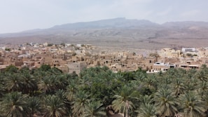 Panoramic view of Sarh city blending natural ochre landscapes with urban life.