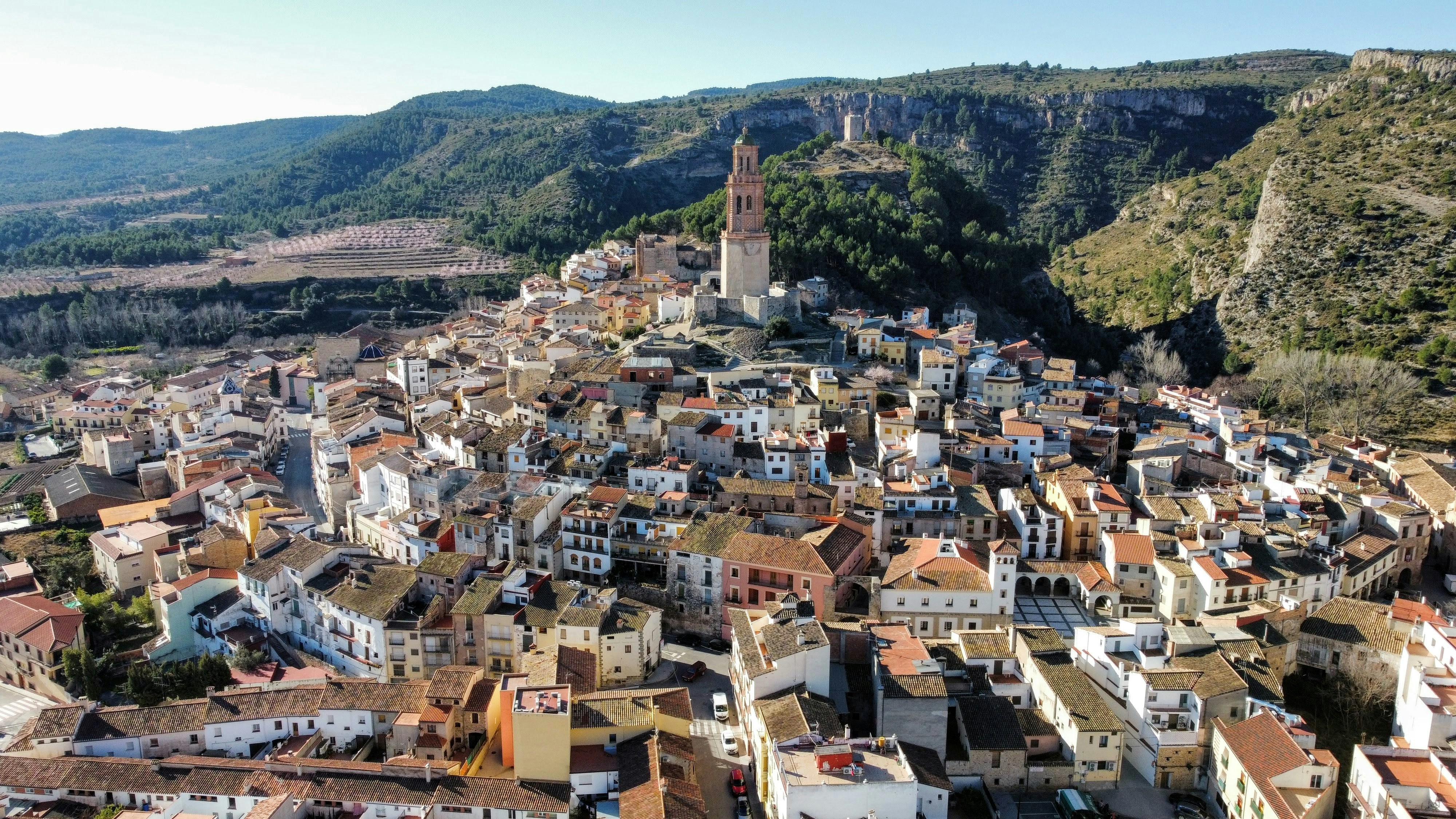 an aerial view of a village in the mountains