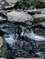 A small crystal-clear mountain stream flowing over smooth stones surrounded by moss.