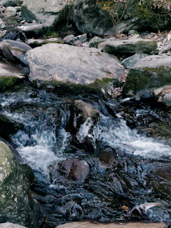 A small crystal-clear mountain stream flowing over smooth stones surrounded by moss.